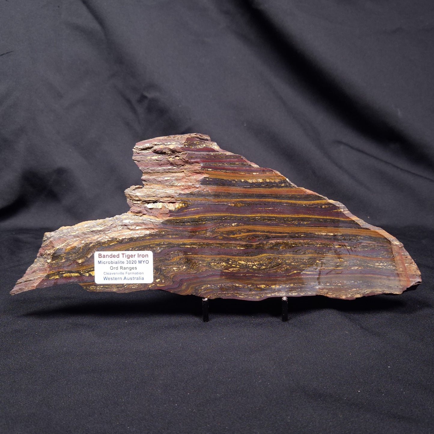 BANDED TIGER IRON MICROBIALITE, Archean, Australia ZBI070