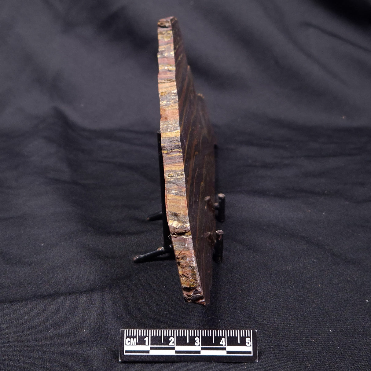 BANDED TIGER IRON MICROBIALITE, Archean, Australia ZBI070