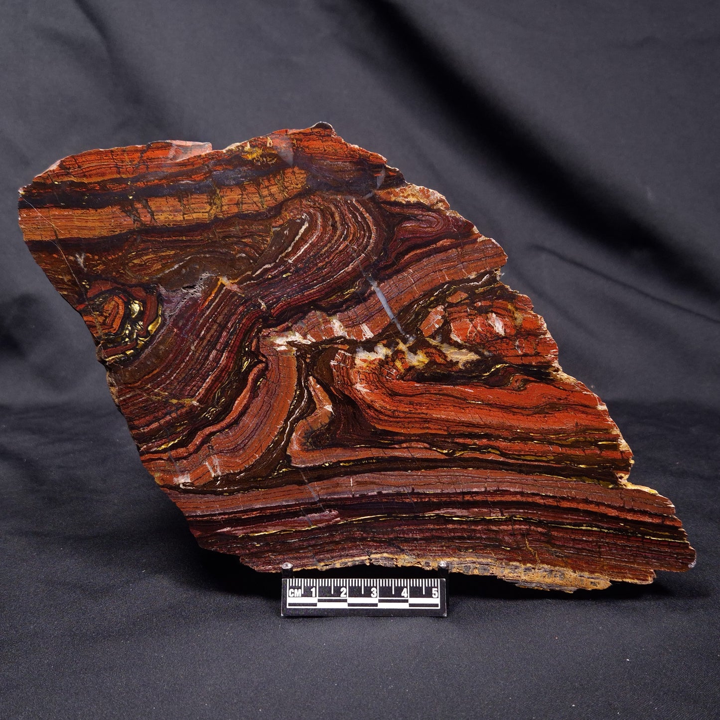 BANDED TIGER IRON MICROBIALITE, Archean, Australia ZBI071
