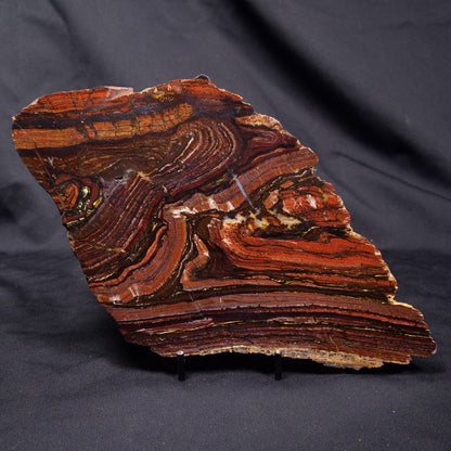 BANDED TIGER IRON MICROBIALITE, Archean, Australia ZBI071