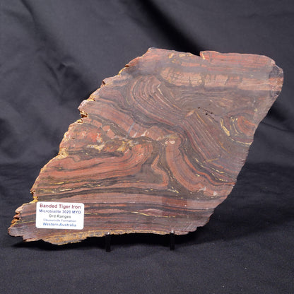 BANDED TIGER IRON MICROBIALITE, Archean, Australia ZBI071