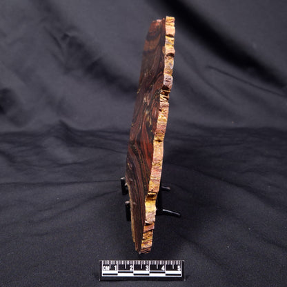 BANDED TIGER IRON MICROBIALITE, Archean, Australia ZBI071