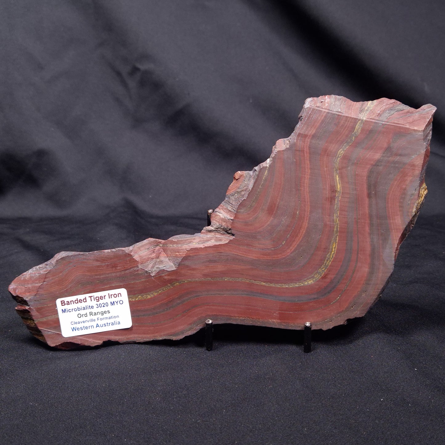 BANDED TIGER IRON MICROBIALITE, Archean, Australia ZBI072