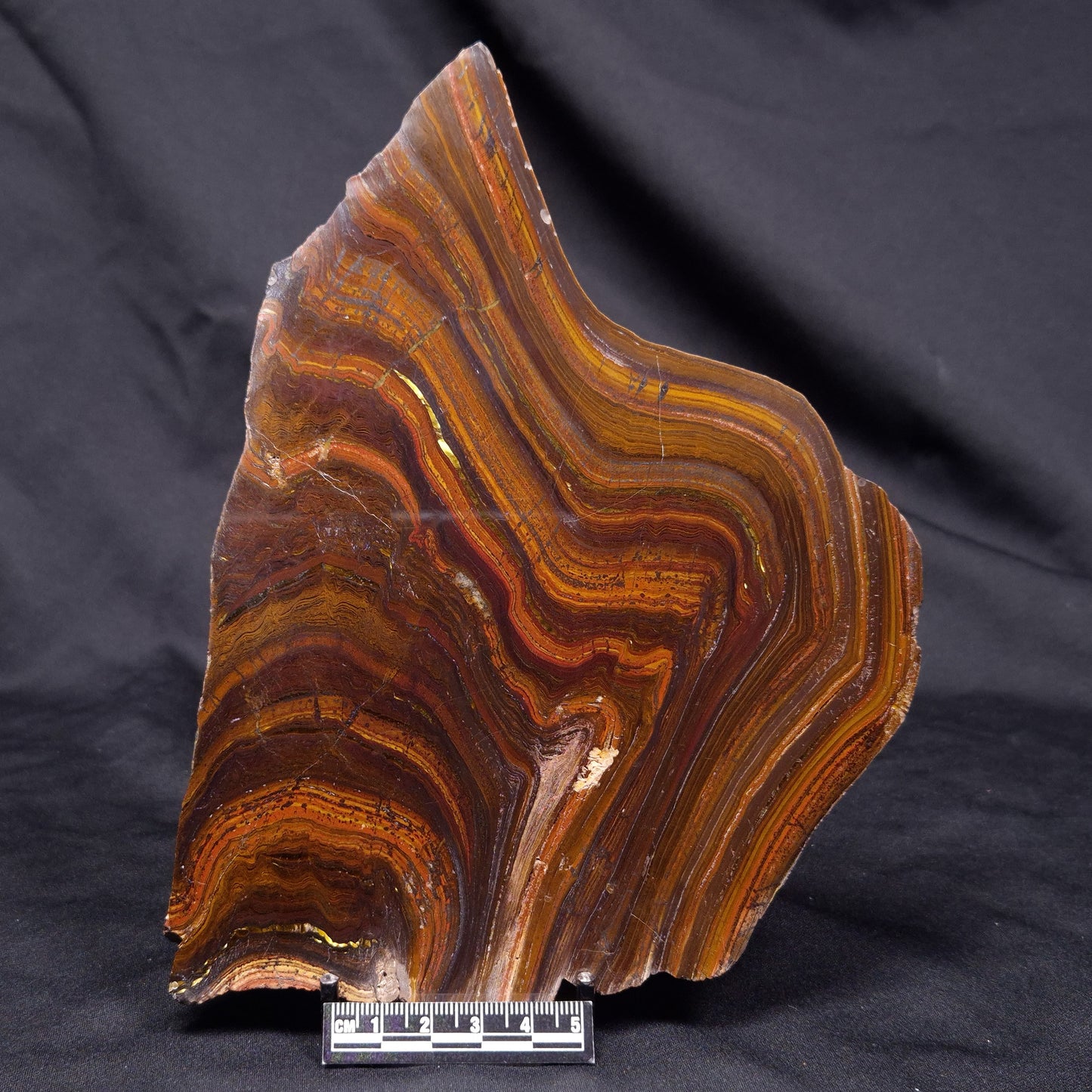 BANDED TIGER IRON MICROBIALITE, Archean, Australia ZBI073
