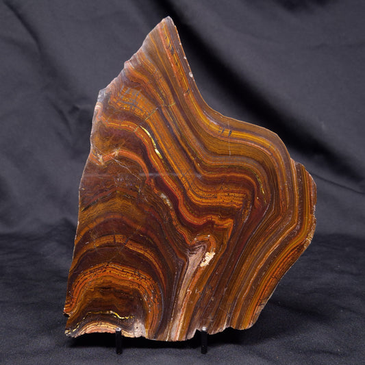BANDED TIGER IRON MICROBIALITE, Archean, Australia ZBI073