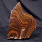 BANDED TIGER IRON MICROBIALITE, Archean, Australia ZBI073