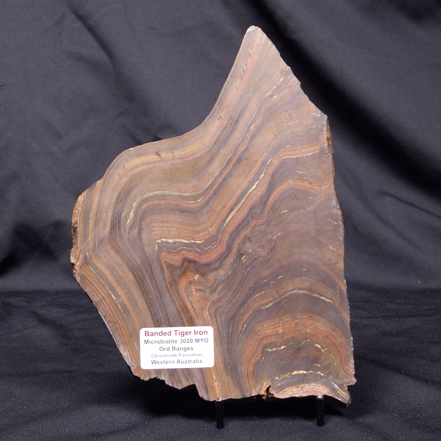 BANDED TIGER IRON MICROBIALITE, Archean, Australia ZBI073