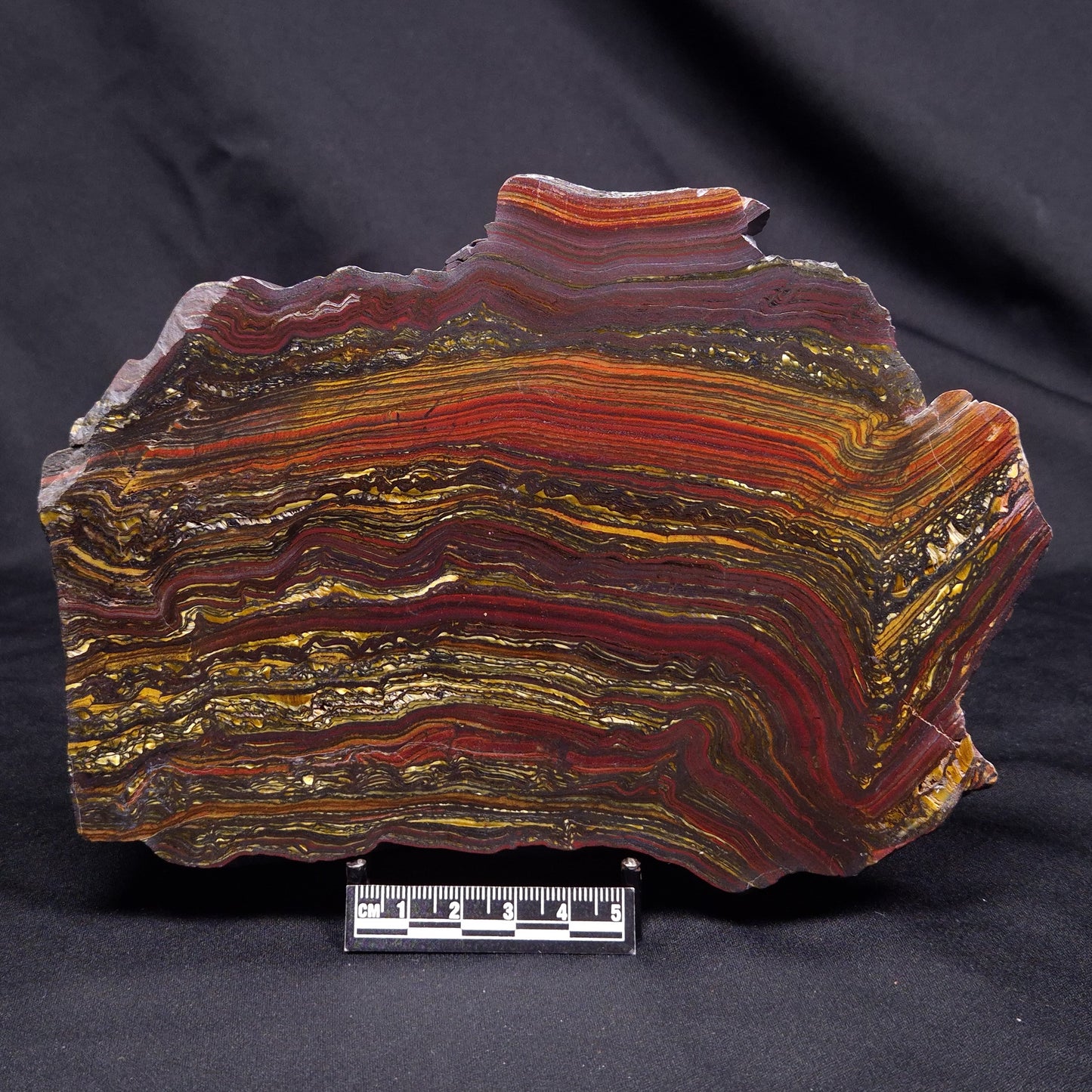 BANDED TIGER IRON MICROBIALITE, Archean, Australia ZBI074