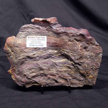 BANDED TIGER IRON MICROBIALITE, Archean, Australia ZBI074