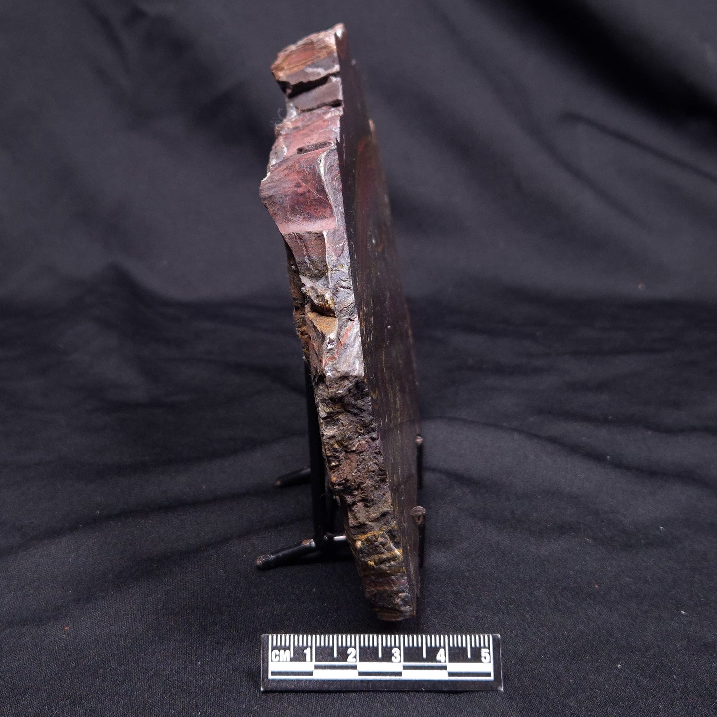 BANDED TIGER IRON MICROBIALITE, Archean, Australia ZBI074