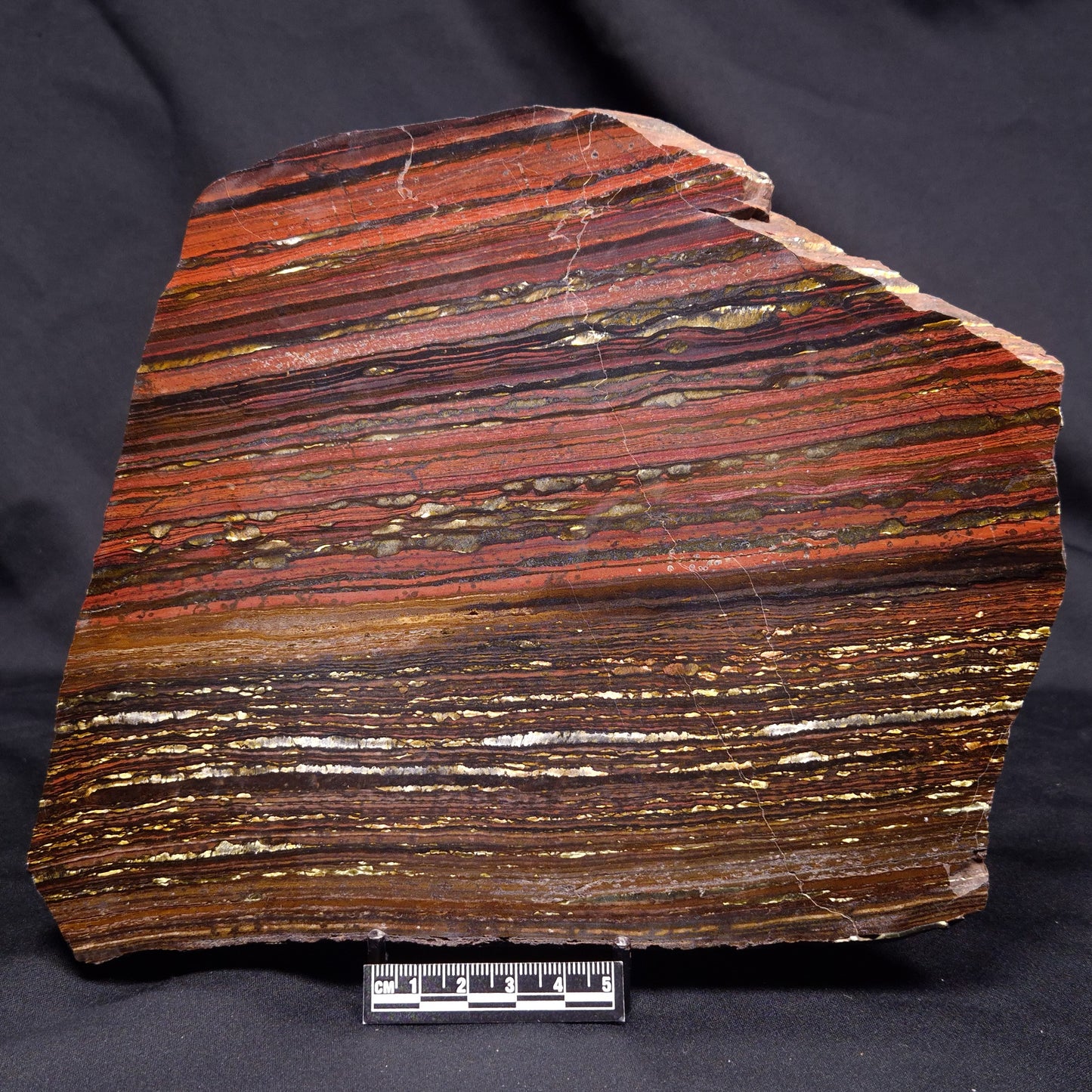 BANDED TIGER IRON MICROBIALITE, Archean, Australia ZBI075