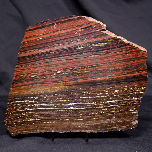 BANDED TIGER IRON MICROBIALITE, Archean, Australia ZBI075