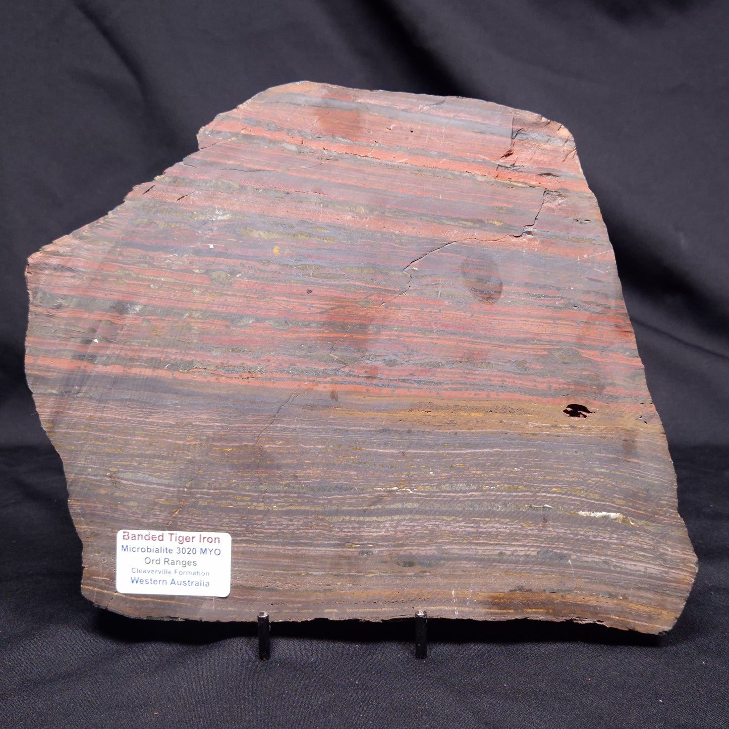 BANDED TIGER IRON MICROBIALITE, Archean, Australia ZBI075