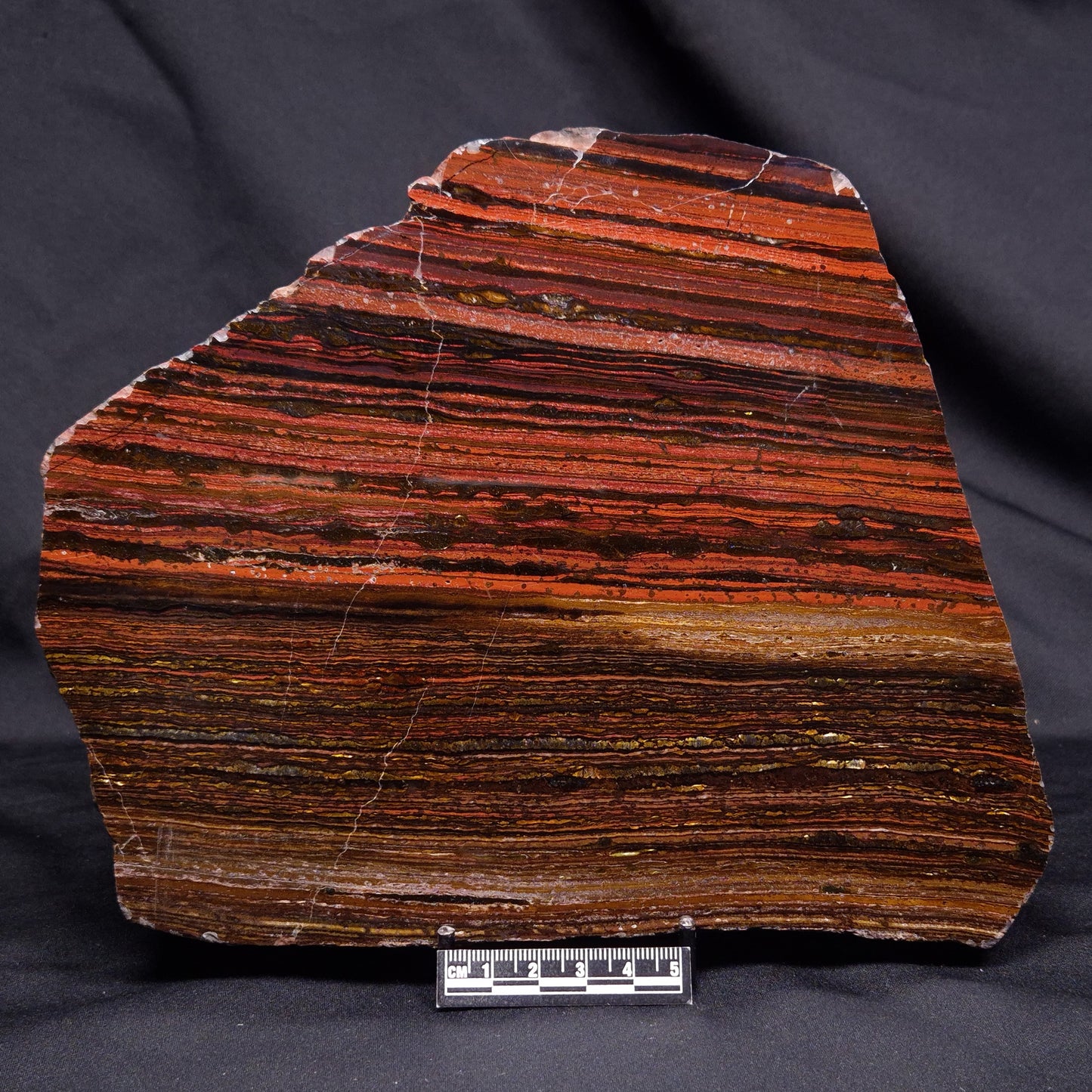 BANDED TIGER IRON MICROBIALITE, Archean, Australia ZBI076