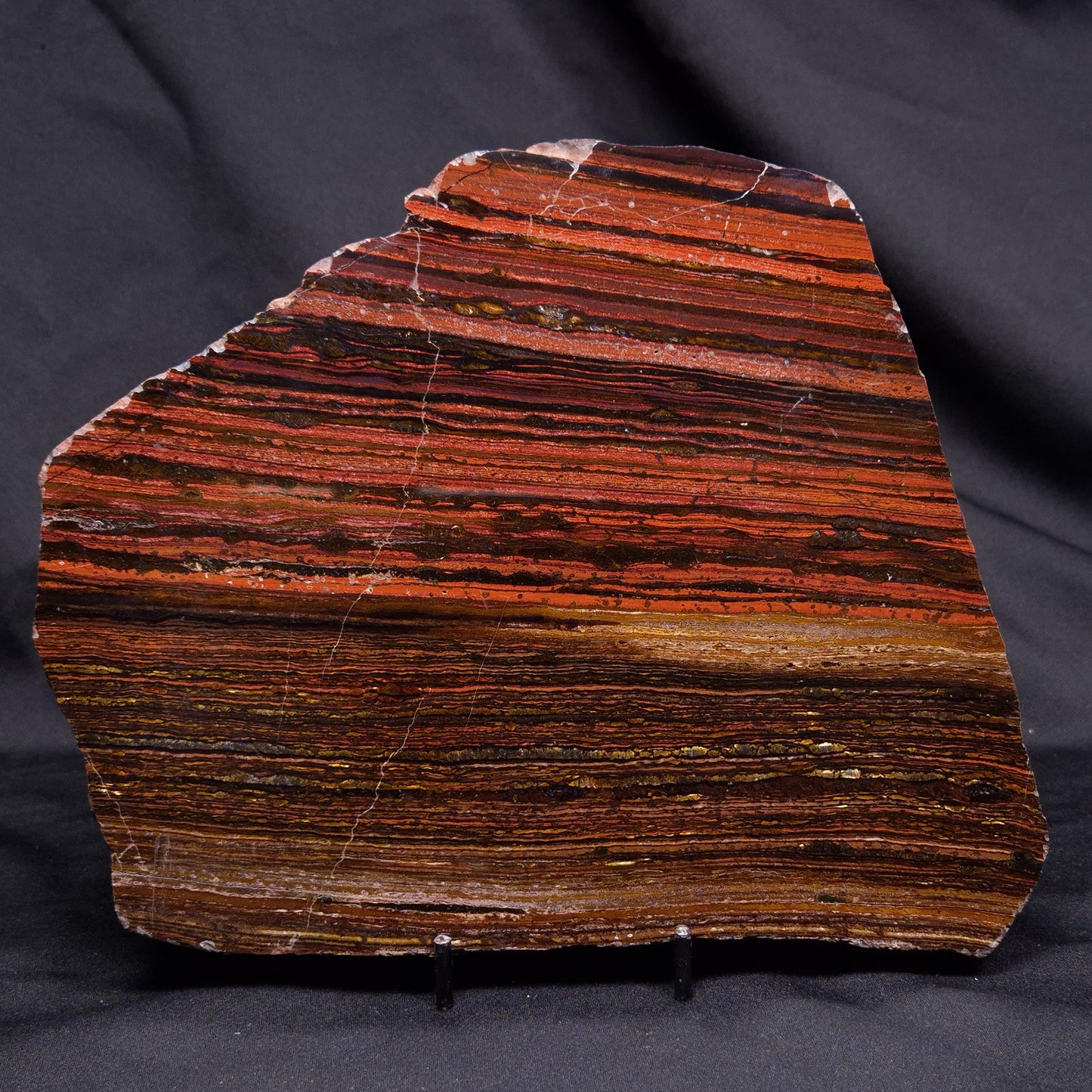 BANDED TIGER IRON MICROBIALITE, Archean, Australia ZBI076