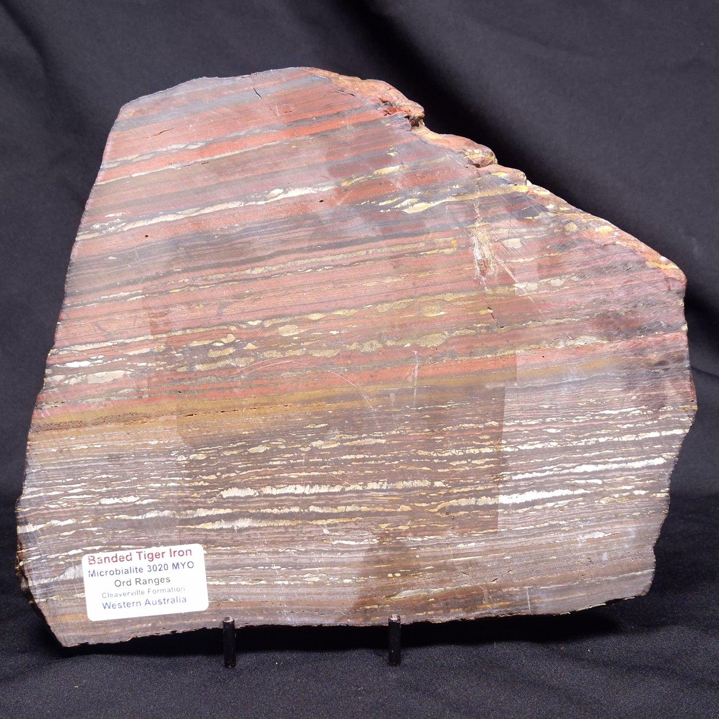 BANDED TIGER IRON MICROBIALITE, Archean, Australia ZBI076