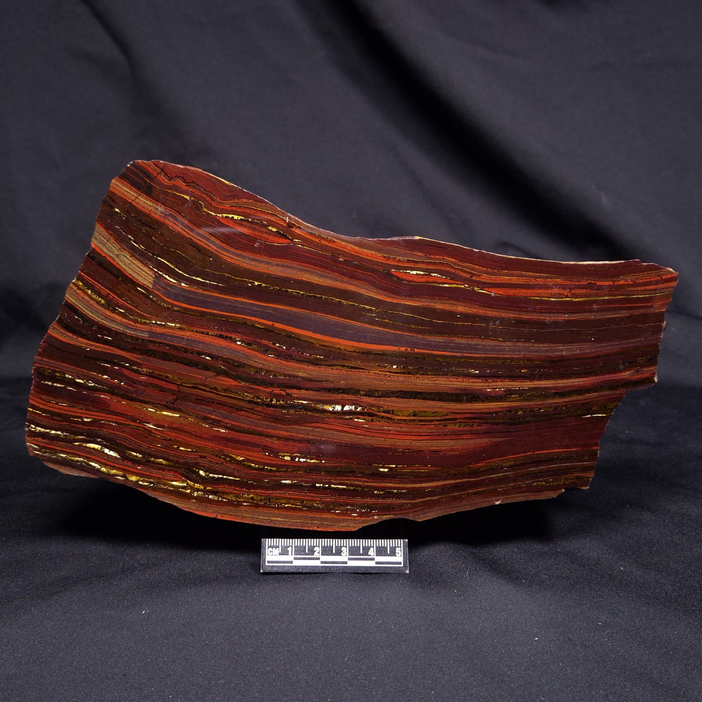 BANDED TIGER IRON MICROBIALITE, Archean, Australia ZBI077