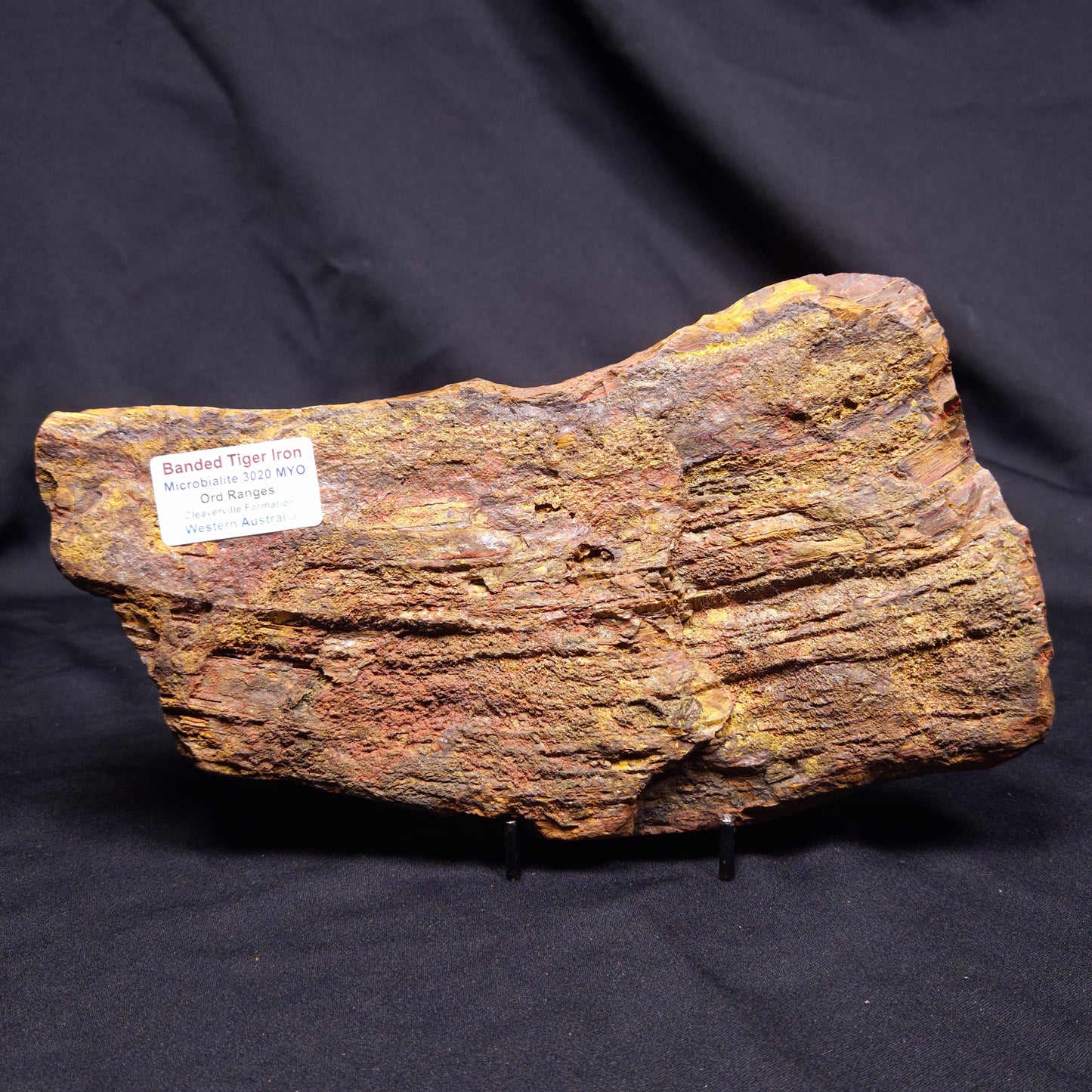 BANDED TIGER IRON MICROBIALITE, Archean, Australia ZBI077