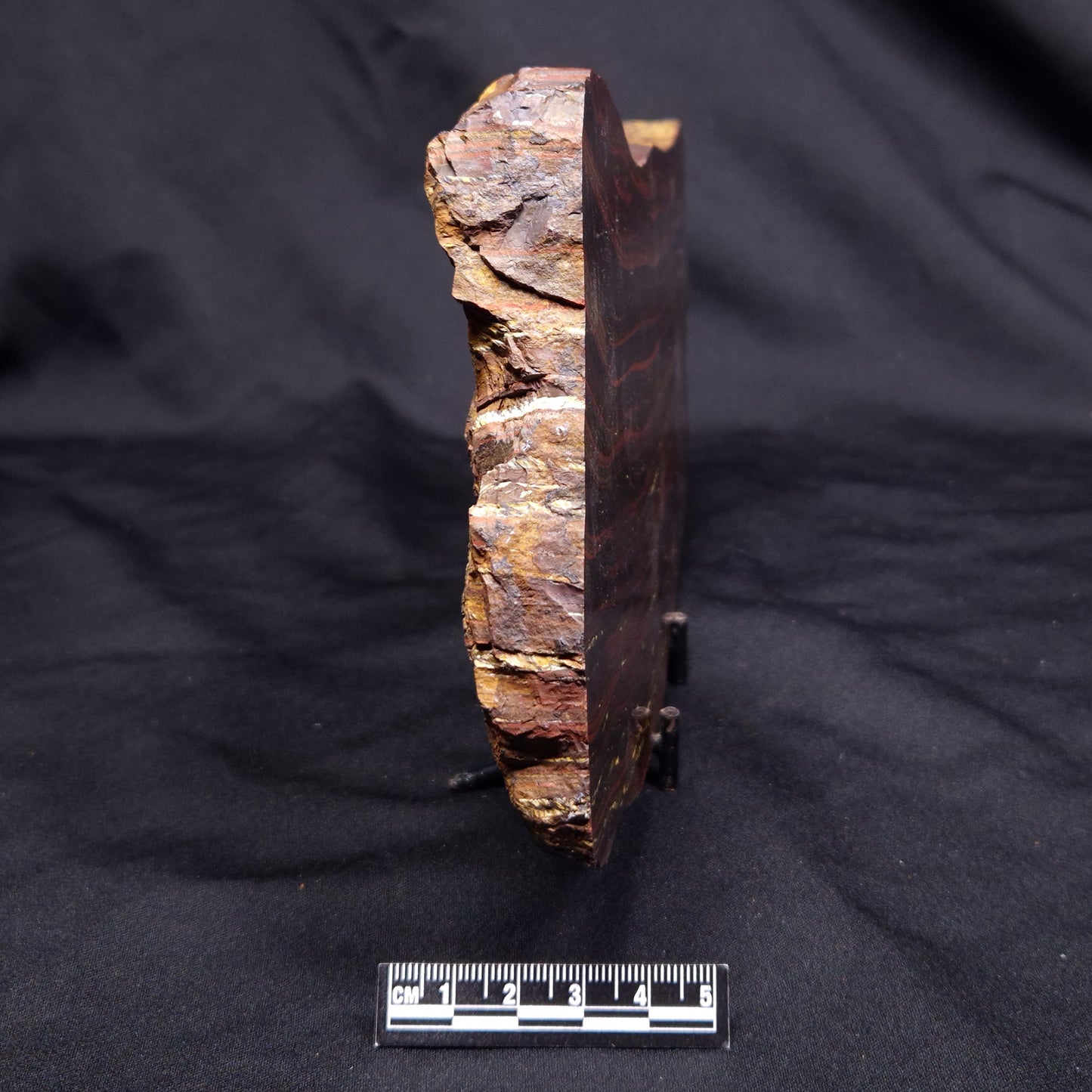 BANDED TIGER IRON MICROBIALITE, Archean, Australia ZBI077