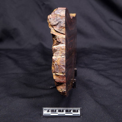 BANDED TIGER IRON MICROBIALITE, Archean, Australia ZBI077