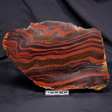 BANDED TIGER IRON MICROBIALITE, Archean, Australia ZBI078