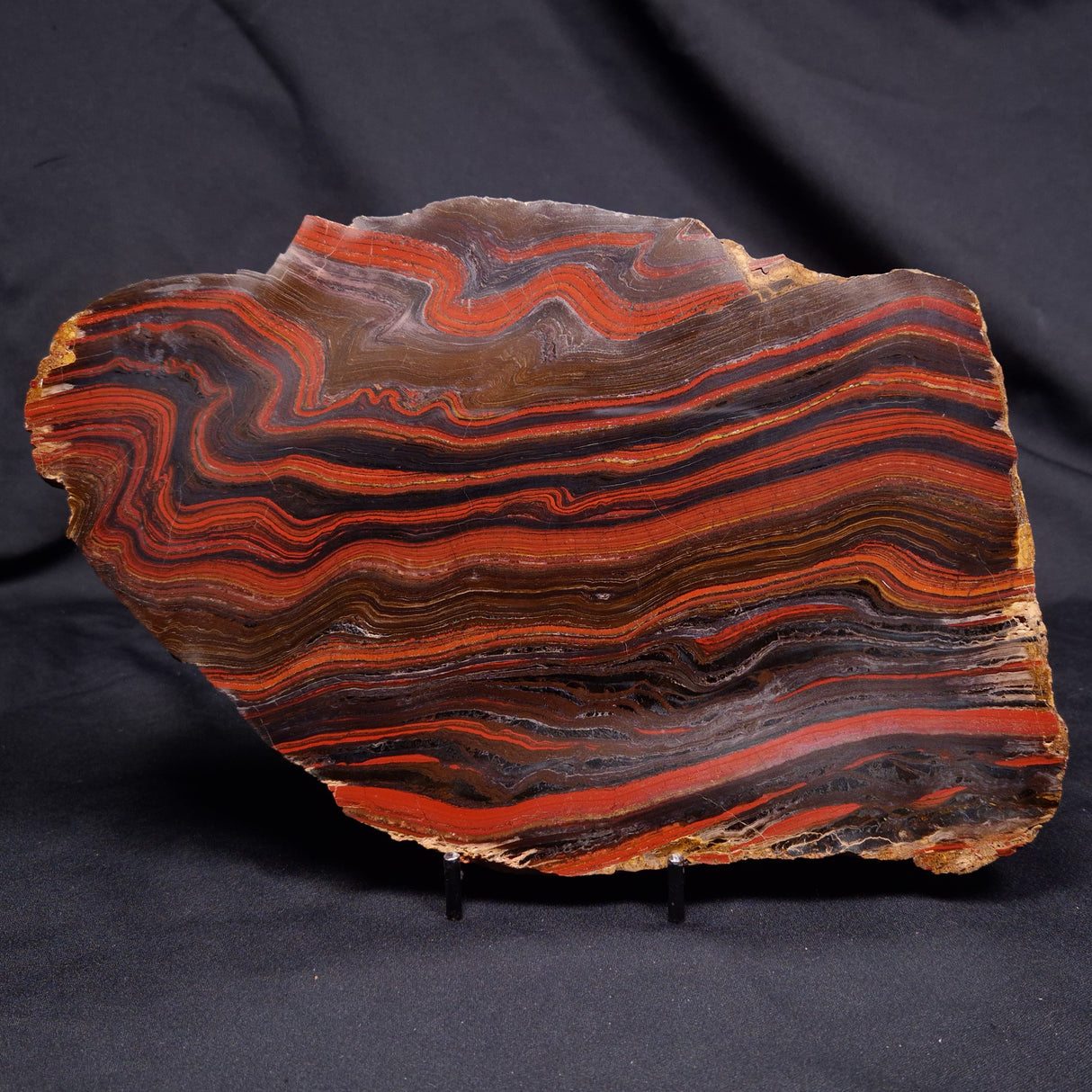 BANDED TIGER IRON MICROBIALITE, Archean, Australia ZBI078