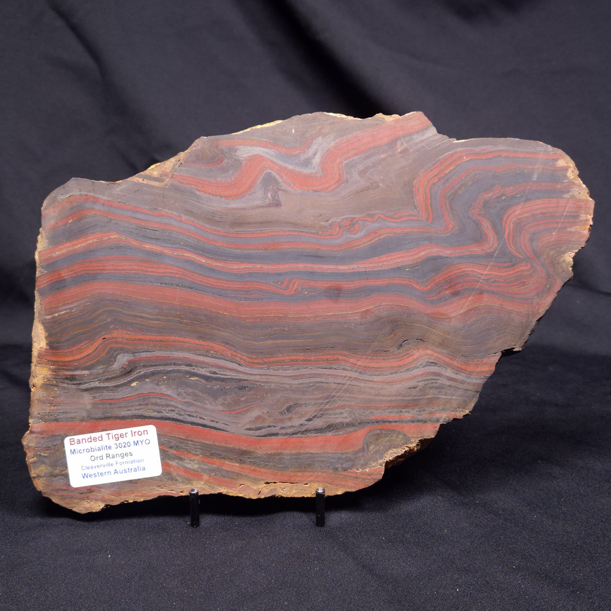 BANDED TIGER IRON MICROBIALITE, Archean, Australia ZBI078