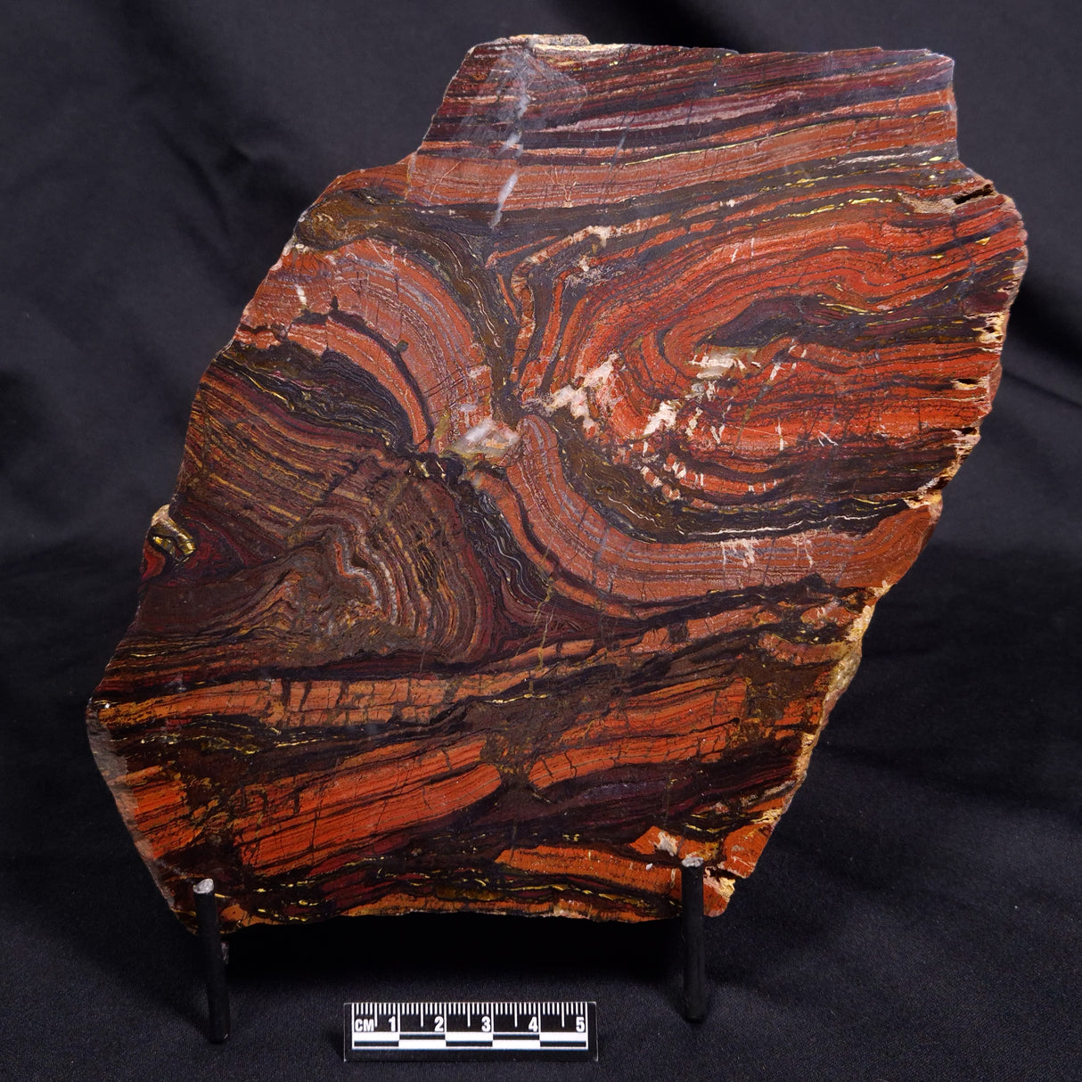 BANDED TIGER IRON MICROBIALITE, Archean, Australia ZBI079
