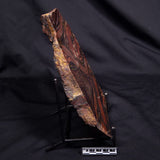 BANDED TIGER IRON MICROBIALITE, Archean, Australia ZBI079