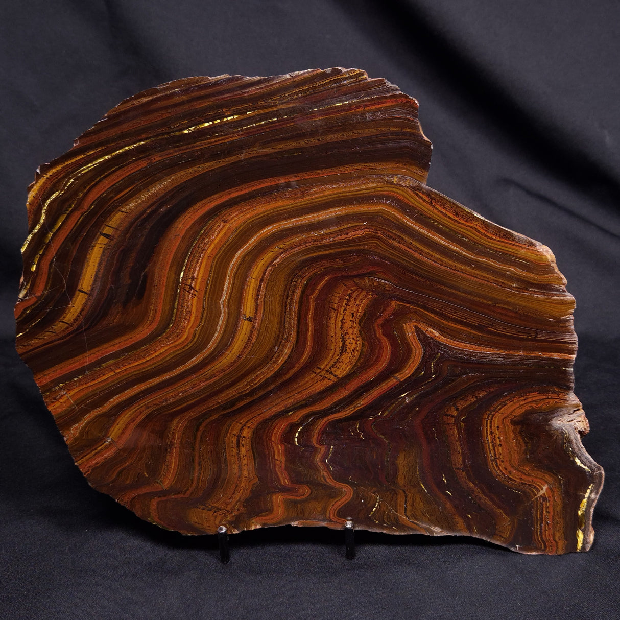 BANDED TIGER IRON MICROBIALITE, Archean, Australia ZBI080