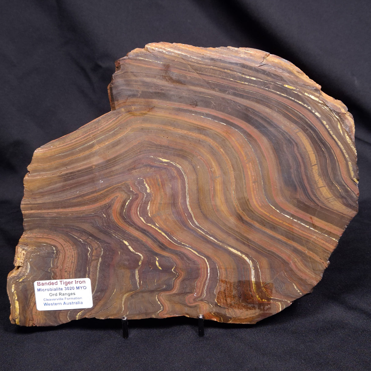 BANDED TIGER IRON MICROBIALITE, Archean, Australia ZBI080