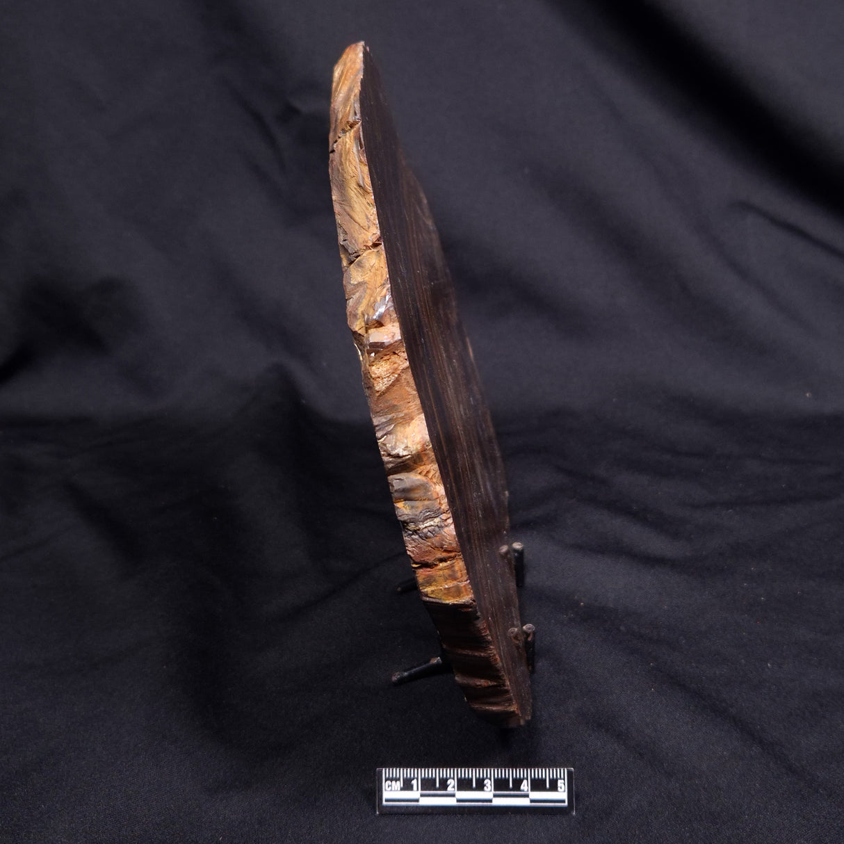 BANDED TIGER IRON MICROBIALITE, Archean, Australia ZBI080