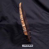 BANDED TIGER IRON MICROBIALITE, Archean, Australia ZBI080