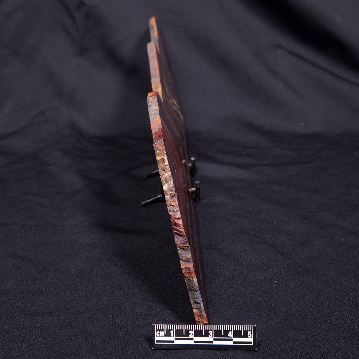 BANDED TIGER IRON MICROBIALITE, Archean, Australia ZBI081