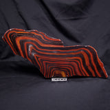 BANDED TIGER IRON MICROBIALITE, Archean, Australia ZBI083