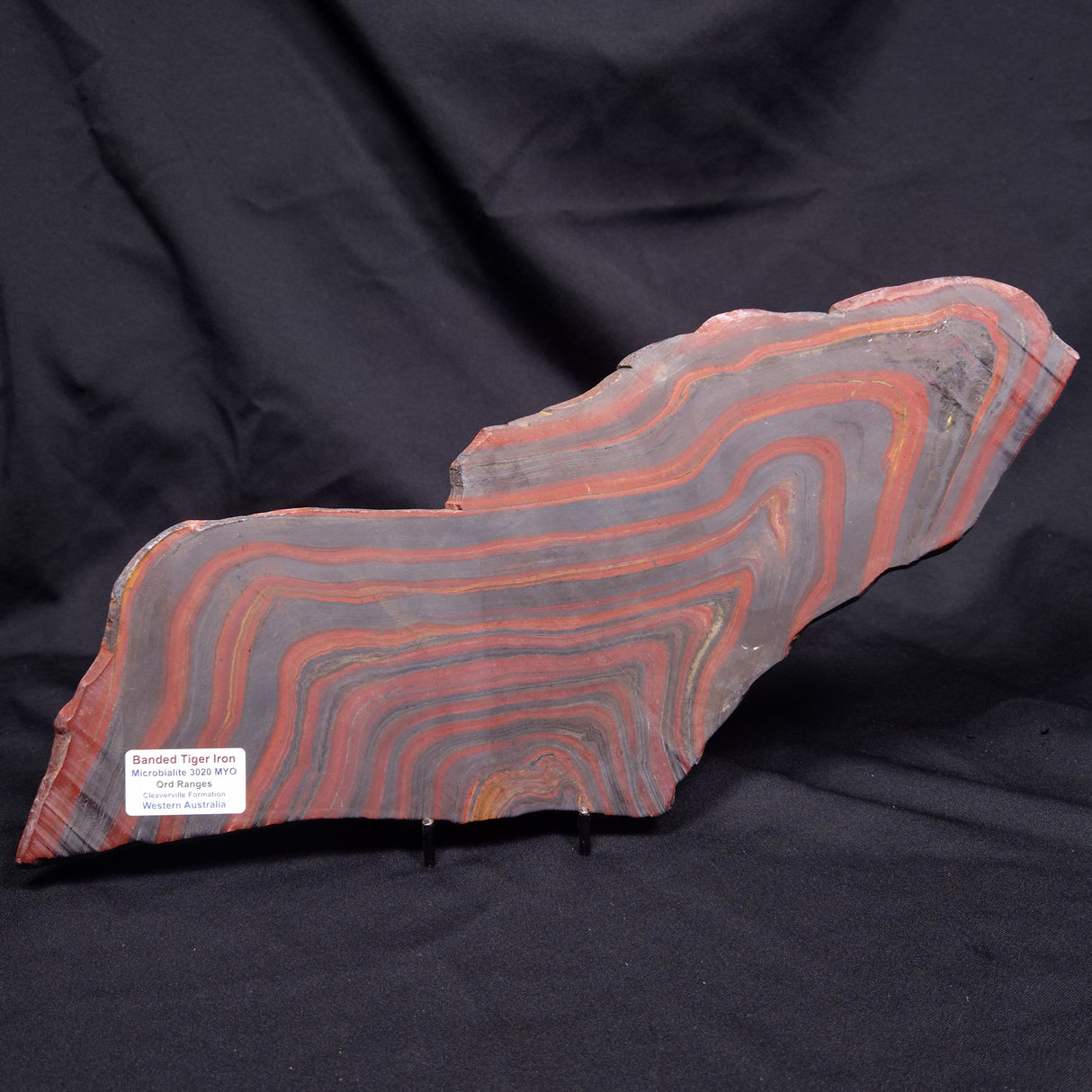 BANDED TIGER IRON MICROBIALITE, Archean, Australia ZBI083