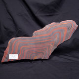 BANDED TIGER IRON MICROBIALITE, Archean, Australia ZBI083