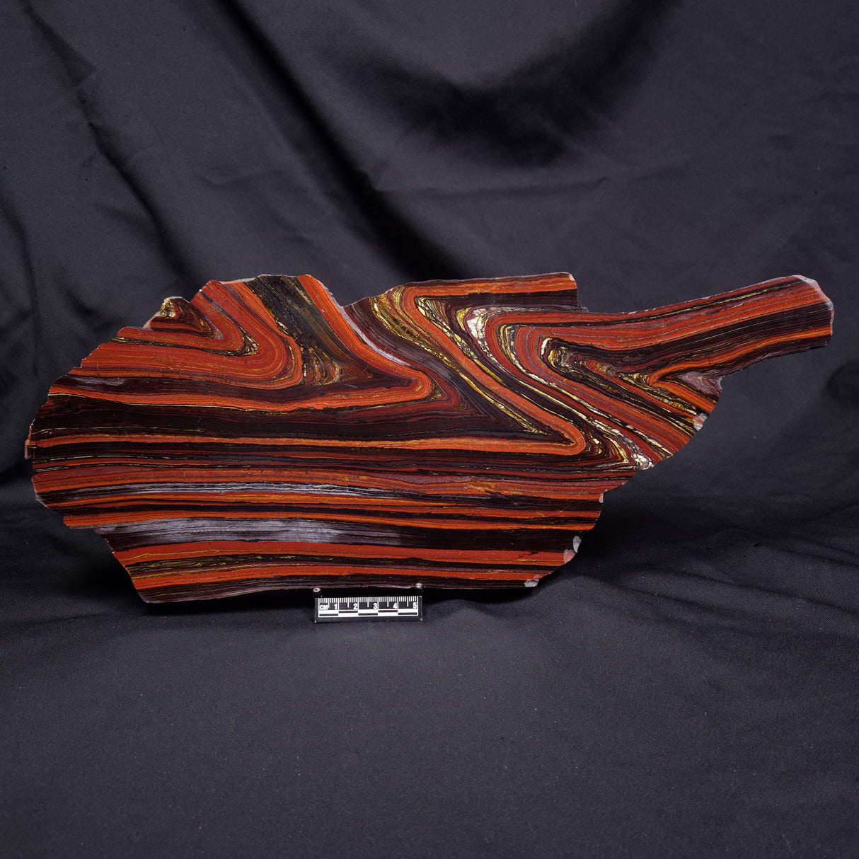 BANDED TIGER IRON MICROBIALITE, Archean, Australia ZBI084