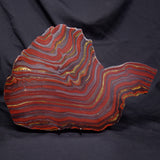 BANDED TIGER IRON MICROBIALITE, Archean, Australia ZBI085
