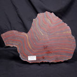 BANDED TIGER IRON MICROBIALITE, Archean, Australia ZBI085