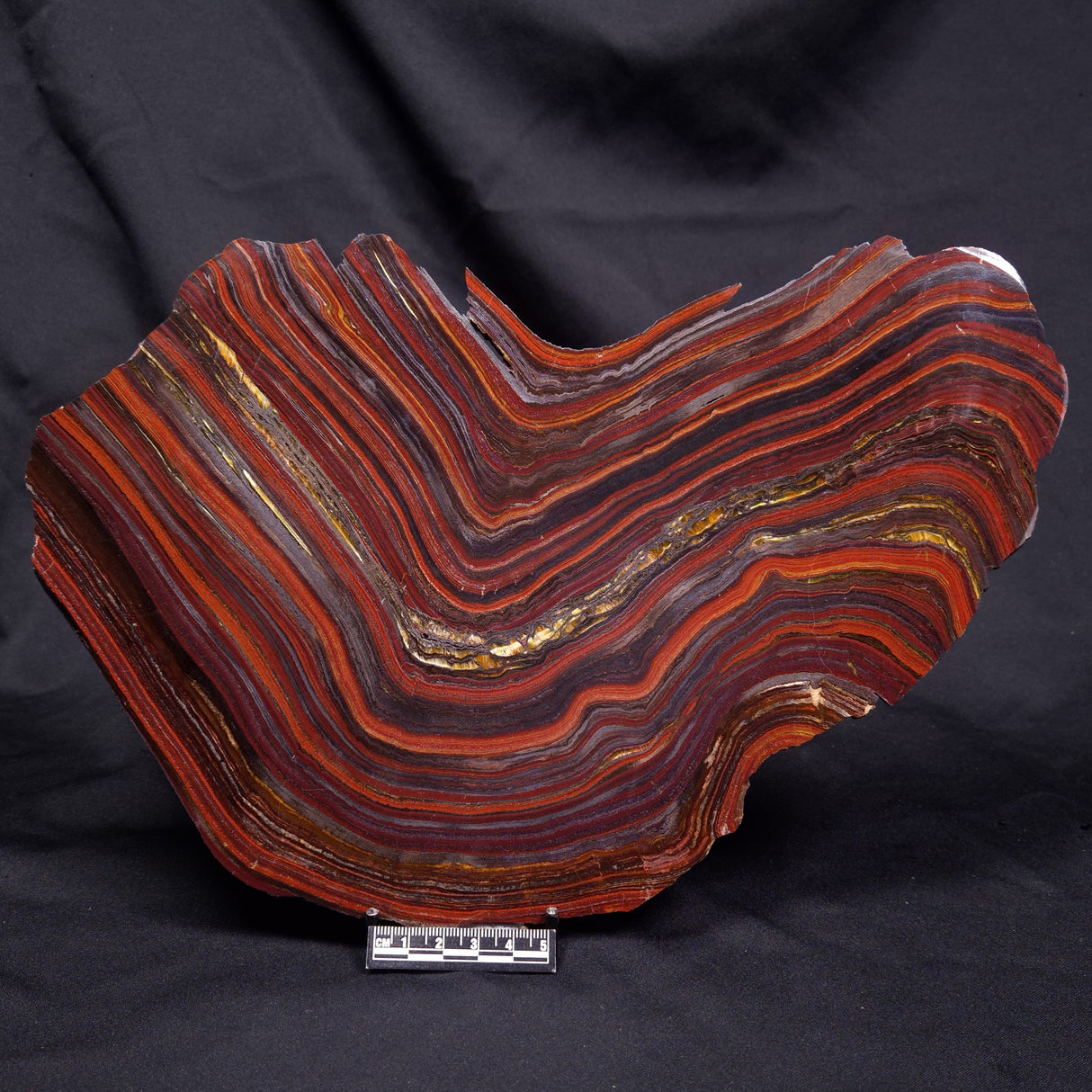 BANDED TIGER IRON MICROBIALITE, Archean, Australia ZBI086
