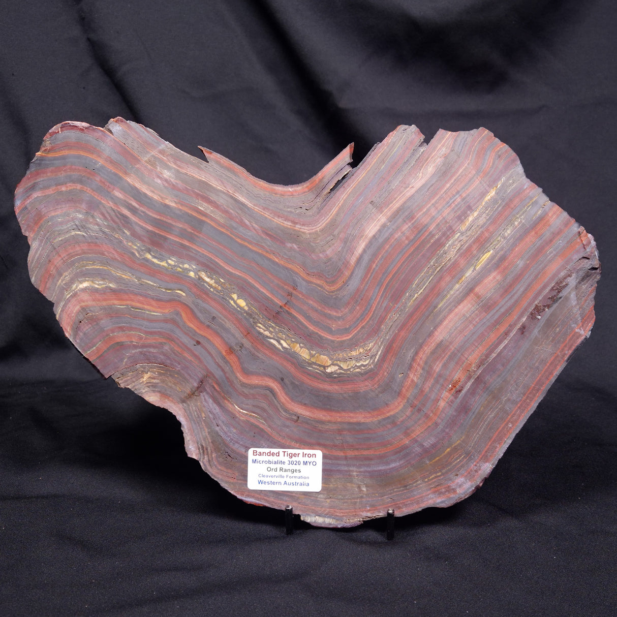 BANDED TIGER IRON MICROBIALITE, Archean, Australia ZBI086