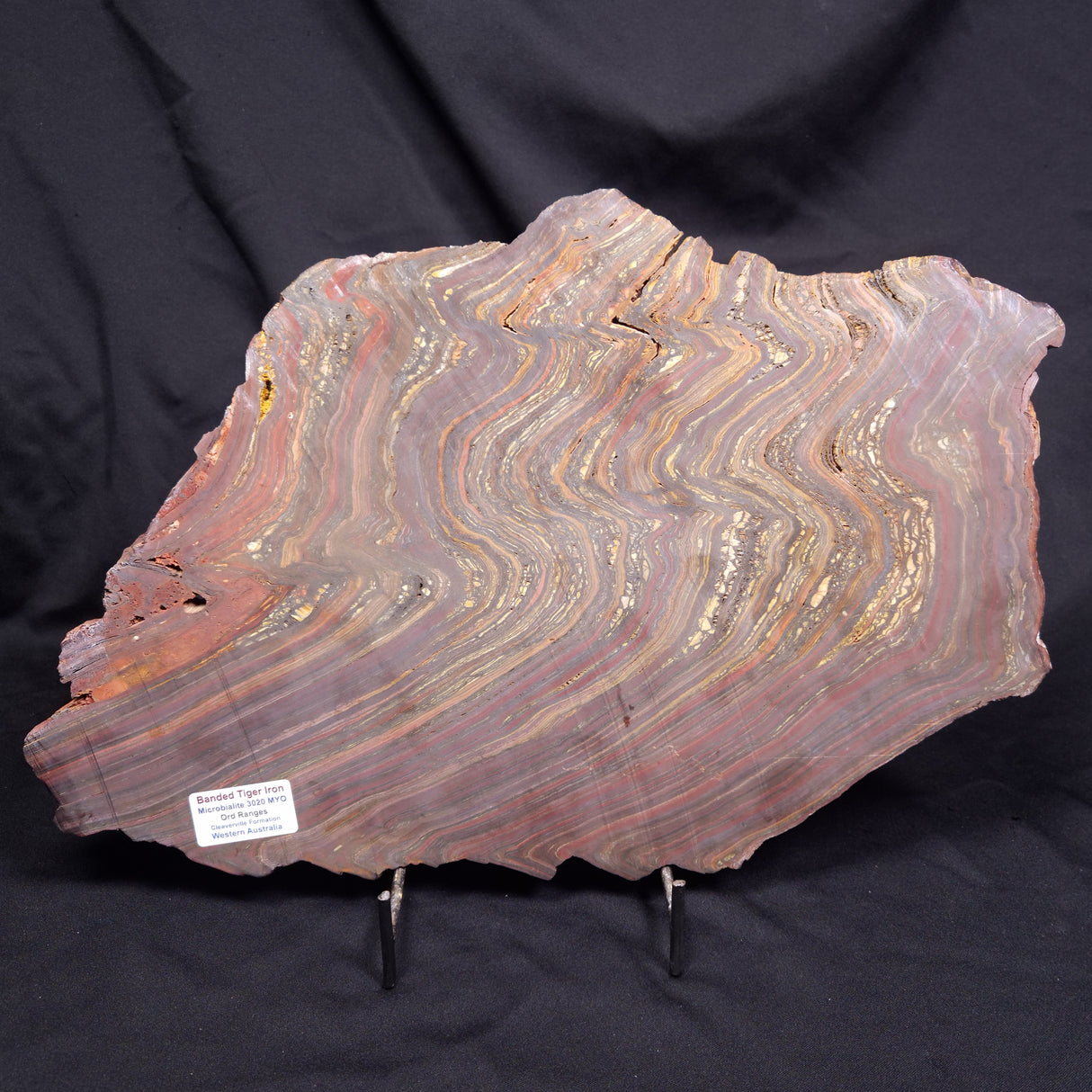 BANDED TIGER IRON MICROBIALITE, Archean, Australia ZBI087