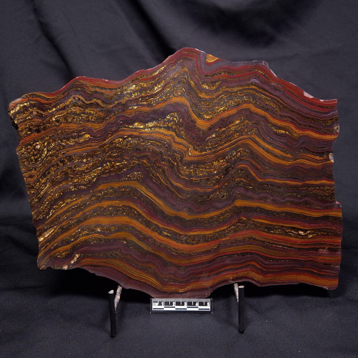 BANDED TIGER IRON MICROBIALITE, Archean, Australia ZBI088