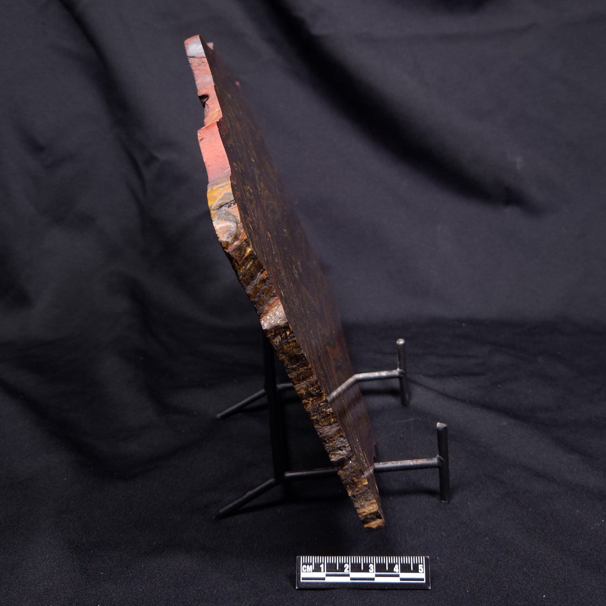 BANDED TIGER IRON MICROBIALITE, Archean, Australia ZBI088