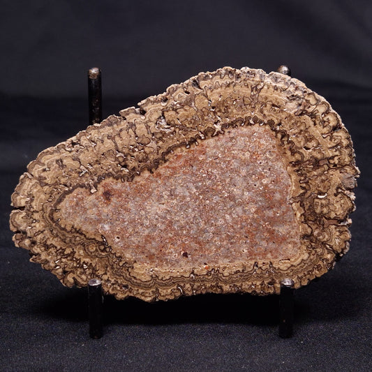 ONCOLITE, Upper Cretaceous, Mexico ZON002