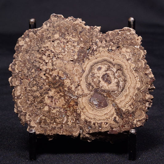 ONCOLITE, Upper Cretaceous, Mexico ZON003