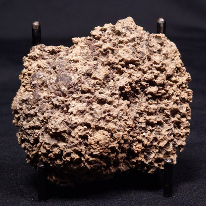 ONCOLITE, Upper Cretaceous, Mexico ZON003