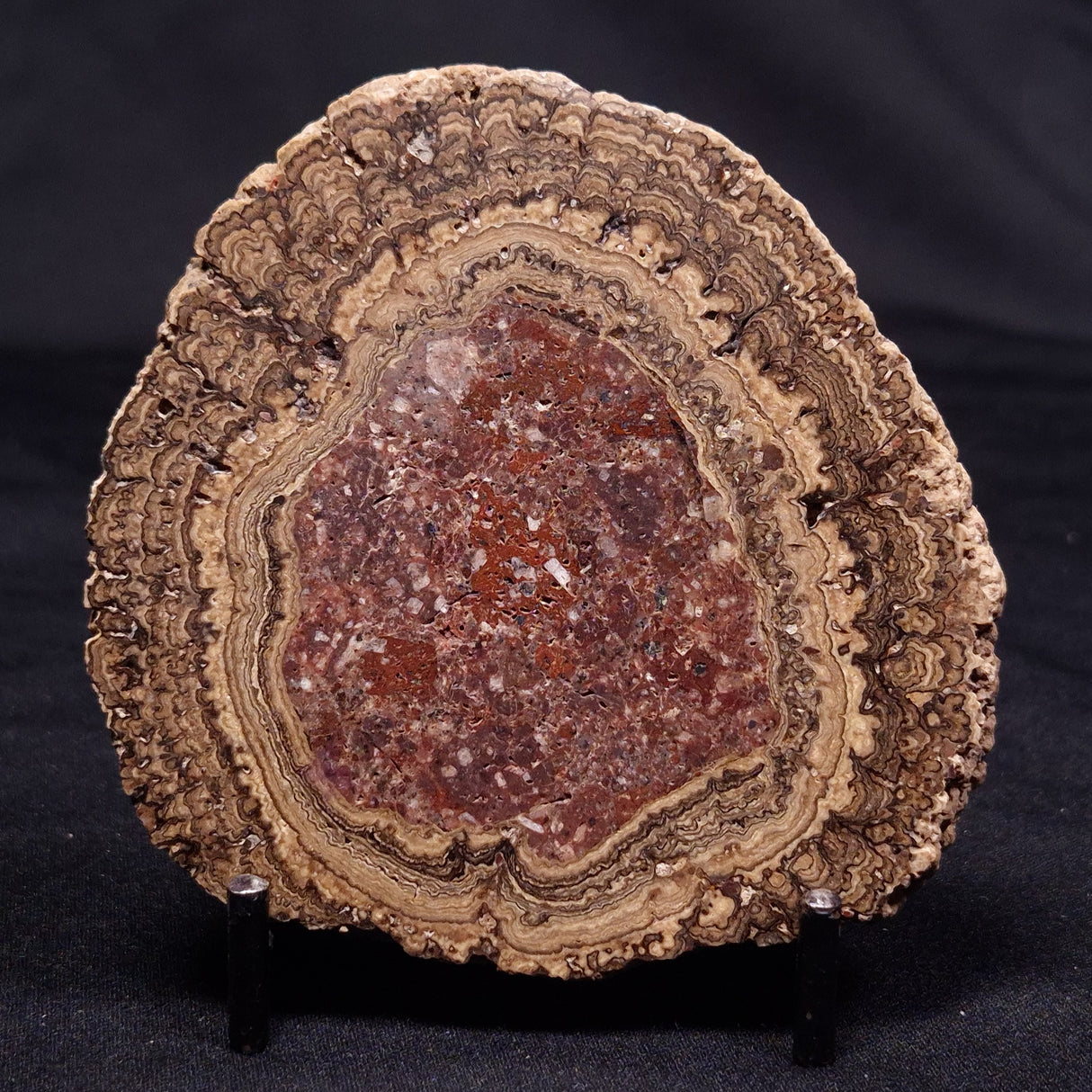 ONCOLITE, Upper Cretaceous, Mexico ZON010