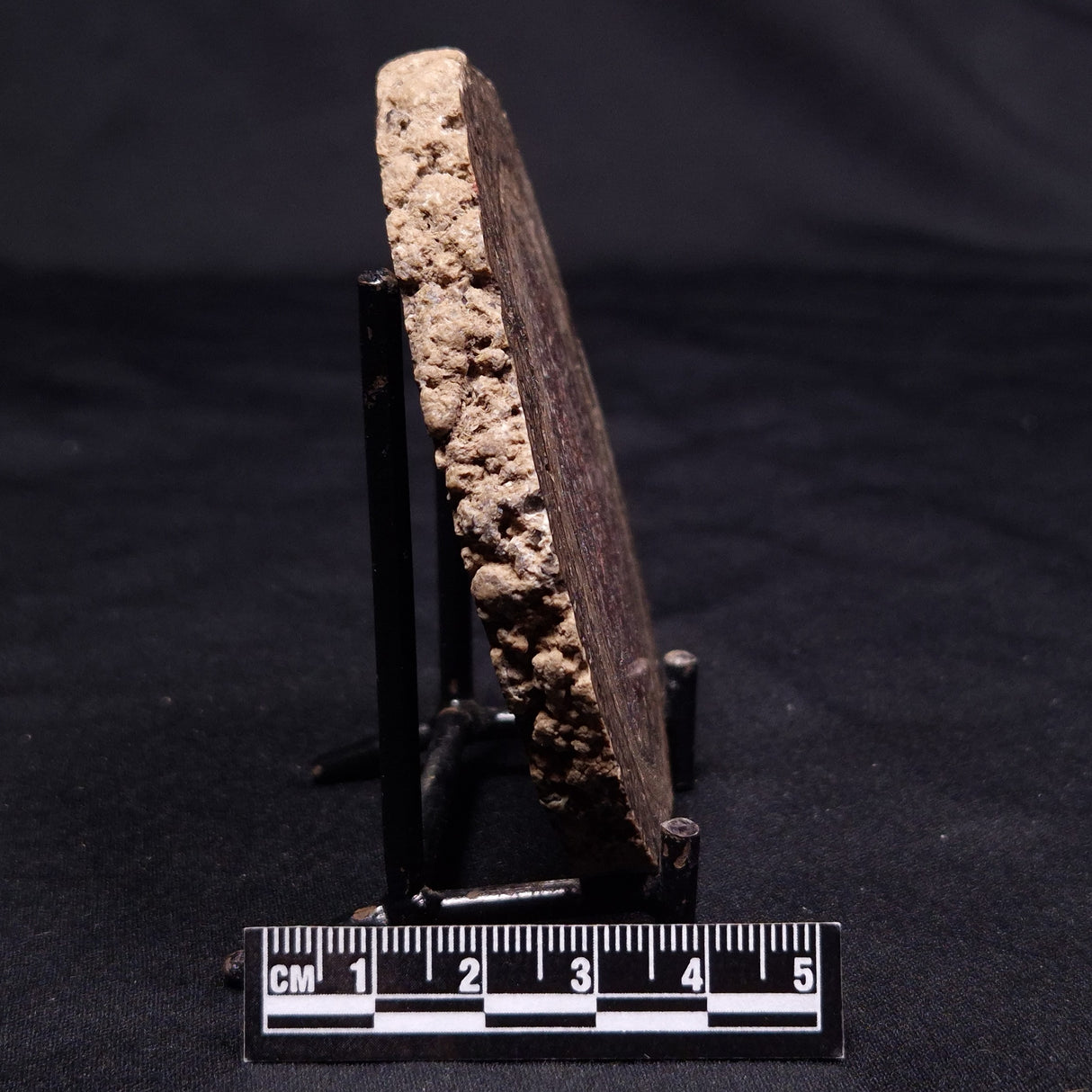 ONCOLITE, Upper Cretaceous, Mexico ZON010